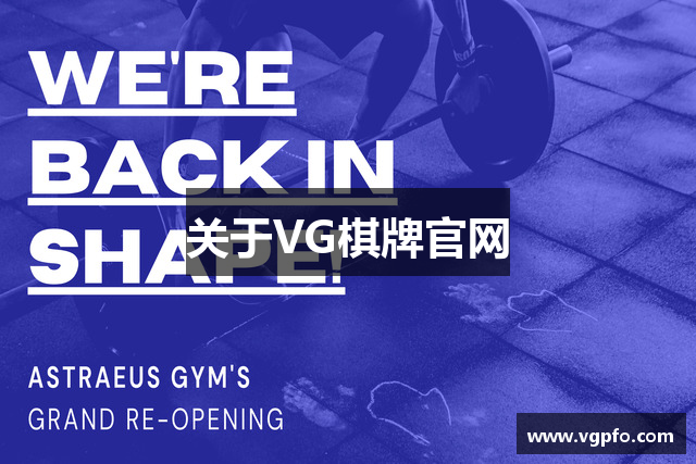 关于VG棋牌官网